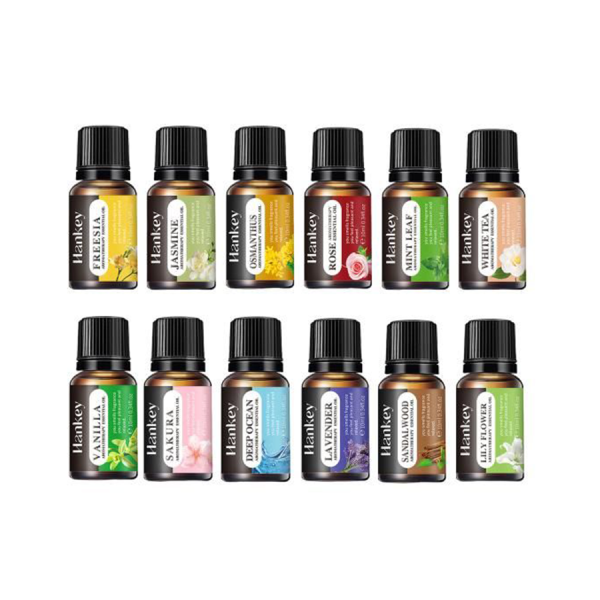 Humidifier-&-Burner-Essential-Oils-10ml---12pcs